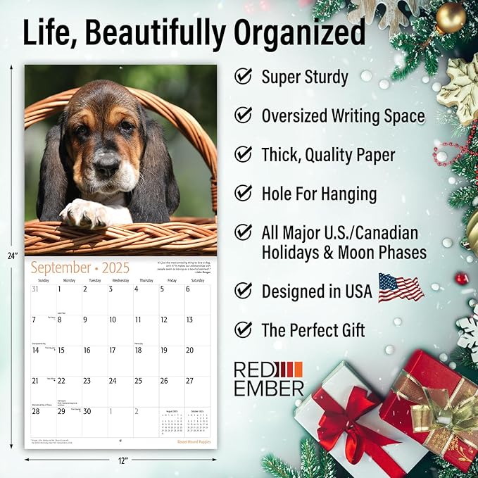 RED EMBER Basset Hound Puppies 2025 Wall Calendar 12 Month | 12" x 24" Open | Thick & Sturdy Paper | Giftable | Calendar 2025