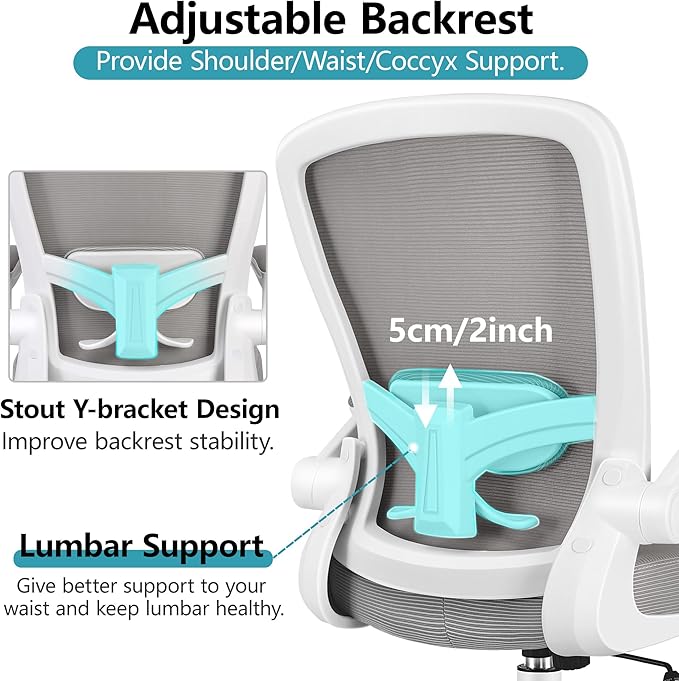 FelixKing Ergonomic Office Chair, Adjustable Height, Breathable Mesh Fabric, Lumbar Support, Gray