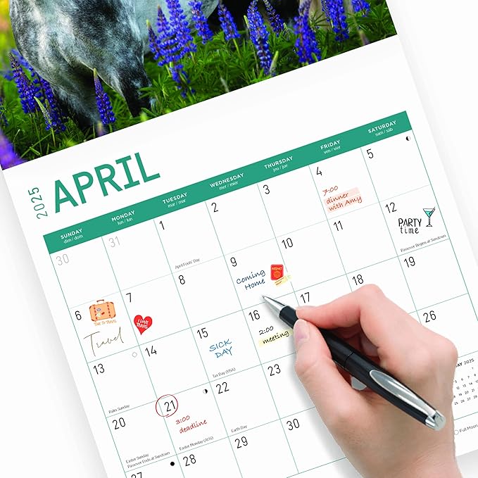 2025 Horses Monthly Wall Calendar by Bright Day, Includes Over 300 Stickers, 12 x 12 Inch