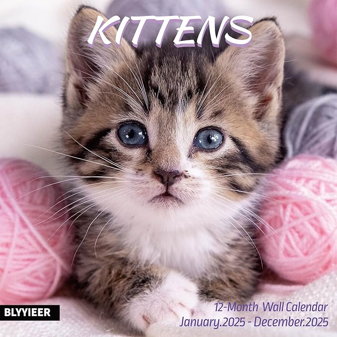 2025 Wall Calendar,Calendar 2025,Kittens Monthly Wall Calendar, 12" x 24" Open,Family Planner Calendar Organizer with baby kittens Images, for Kitty Cat Lovers