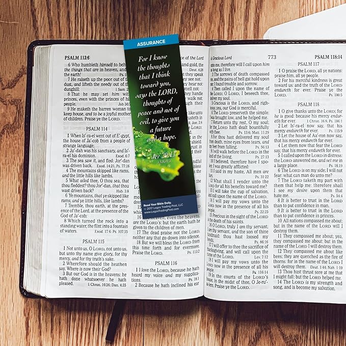 Christian Bookmark with Bible Verse, Pack of 25, Assurance Themed, For I Know the Thoughts That I Think Toward You Says the Lord, Jeremiah 29:11