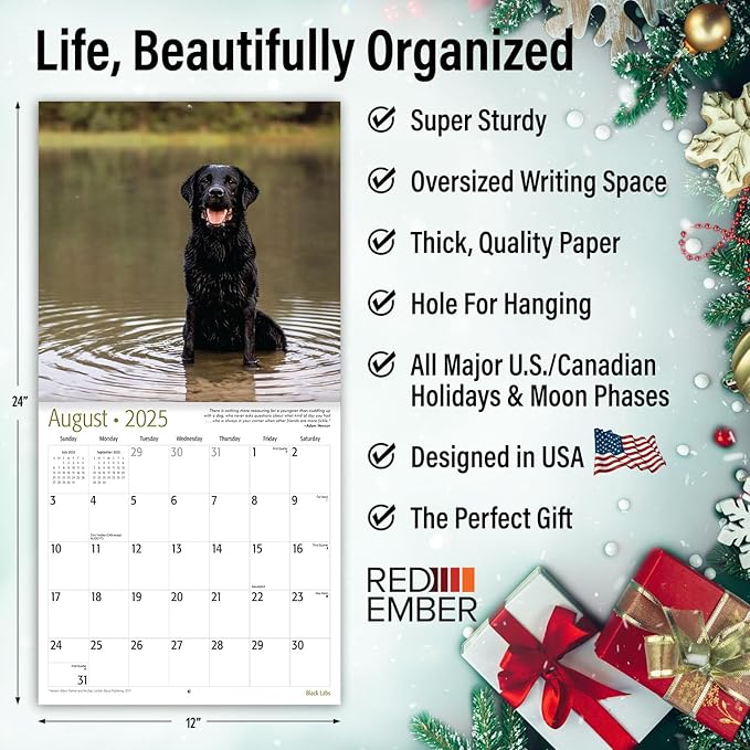RED EMBER Select - Black Labs 2025 Wall Calendar 12 Month | 12" x 24" Open | Thick & Sturdy Paper | Giftable | Calendar 2025