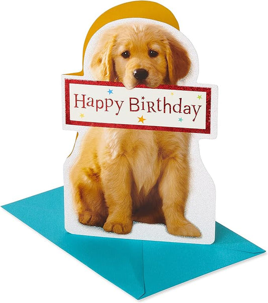 American Greetings Birthday Card (Couldn't Ever Forget)