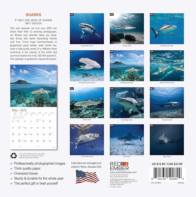 RED EMBER Sharks 2025 Wall Calendar 12 Month | 12" x 24" Open | Thick & Sturdy Paper | Giftable | Calendar 2025
