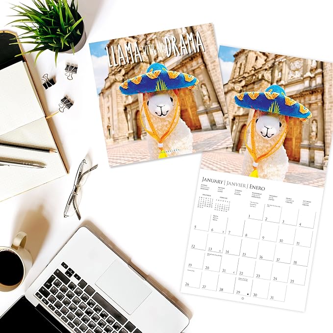 Graphique 2025 Llama with No Drama Wall Calendar | 12” x 12” | Thick Paper | Home & Office Organizer | Large Monthly Grid | 3 Languages & Marked Holidays | 4 Month Preview Page for 2026