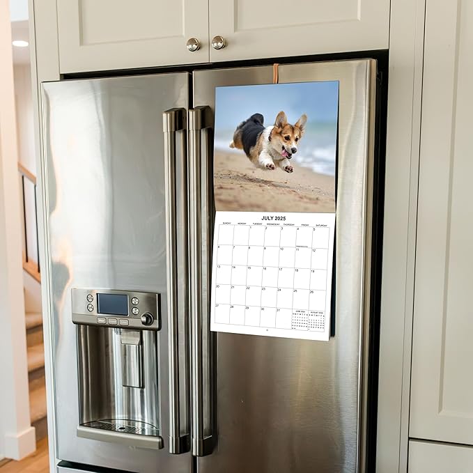 2025 Corgis Monthly Wall Calendar | 12" x 24" | Thick Sturdy Paper | Dog Calendar 2024-2025