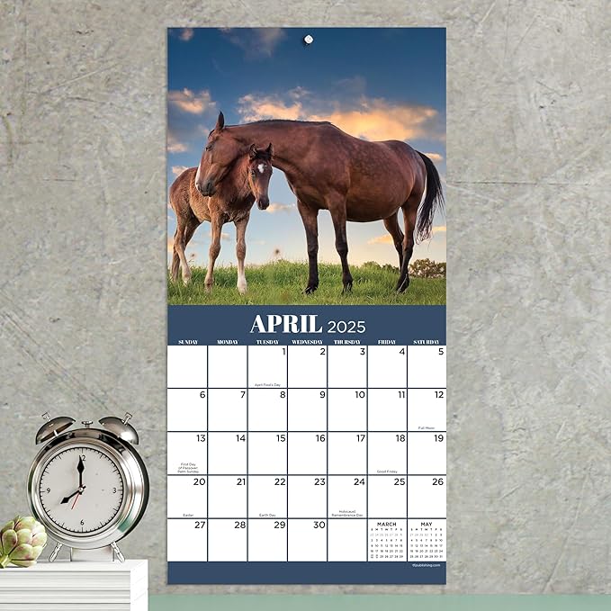 TF PUBLISHING 2025 Horses Mini Calendar - Large Grids for Appointments and Scheduling - Vertical Monthly Wall Calendar 2025 - Home and Office Organization - Premium Thick Gloss Paper - 7"x7"