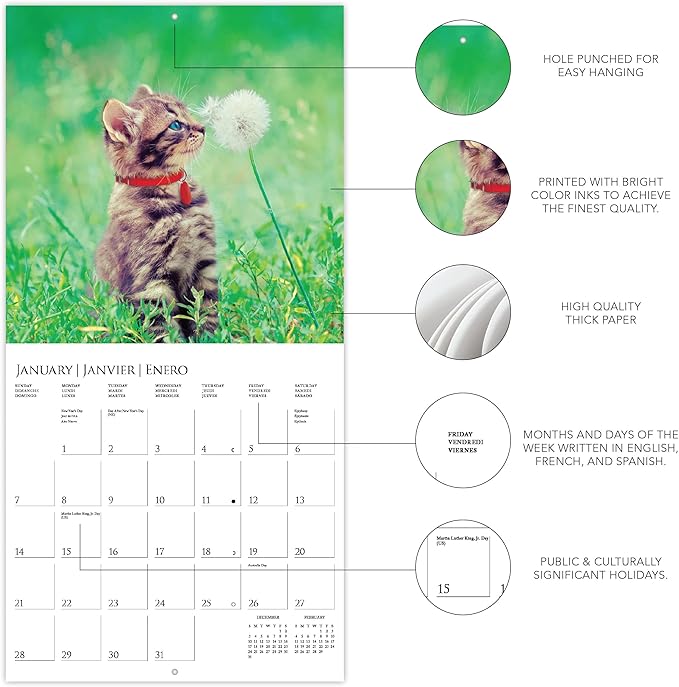 Graphique 2024 Cute Kittens Wall Calendar | 12” x 12” | Thick Paper | Home & Office Organizer | Large Monthly Grid | 3 Languages & Marked Holidays | 4 Month Preview Page for 2025