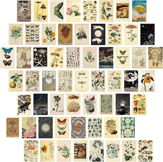Gersoniel 60 PCS Vintage Collection Postcard Set Retro Style Botanical Butterfly Mushroom Nature and Ephemera Postcards for DIY Card Paper