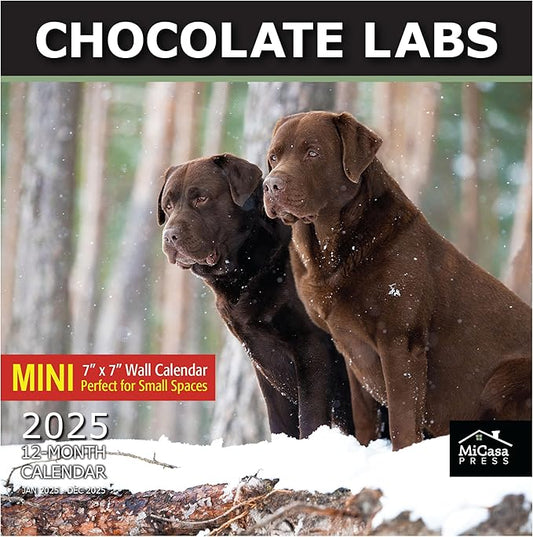 MICASA Chocolate Labs Mini 2025 Wall Calendar 12 Month | 7" x 14" Open | Thick & Sturdy Paper | Giftable | Calendar 2025