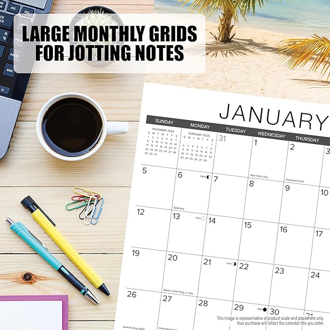 Willow Creek Press Do or Donut Monthly 2025 Wall Calendar (12" x 12")