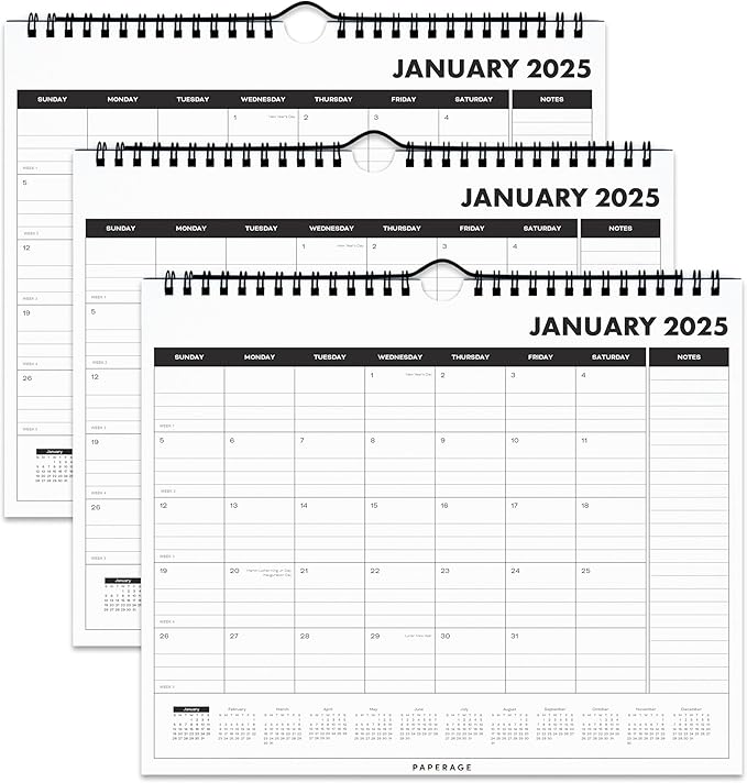 PAPERAGE Calendar 2025-12 Month, (Black), 3 Pack, Minimalist Wall and Desk Calendar with Monthly Views and Yearly Plans – Small (9 in x 11 in)