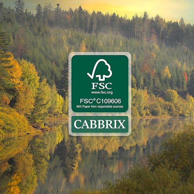 Cabbrix Desk Calendar 2025-2026 with Desktop Mat, Simple Desk Pad Calendar 15 x 12 Inch Runs From January 2025 to June 2026, Desk Blotter Calendar for Home School and Office