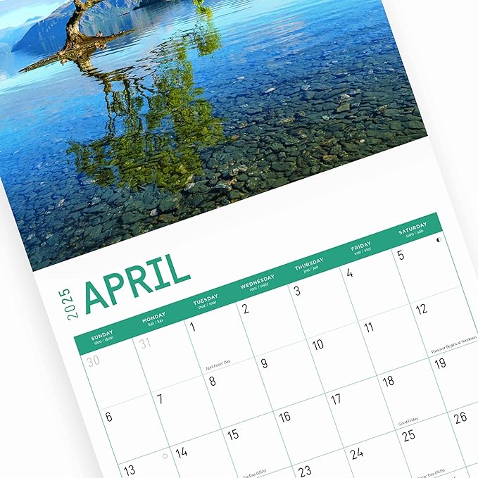 2025 Paradise Monthly Wall Calendar by Bright Day, Includes Over 300 Stickers, 12 x 12 Inch