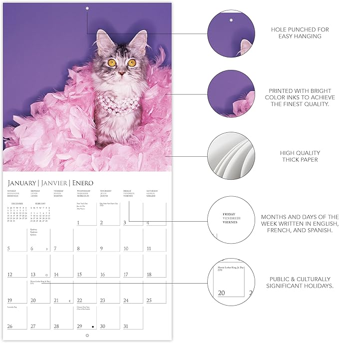 Graphique 2025 Costume Pawty Wall Calendar | 12” x 12” | Thick Paper | Home & Office Organizer | Large Monthly Grid | 3 Languages & Marked Holidays | 4 Month Preview Page for 2026