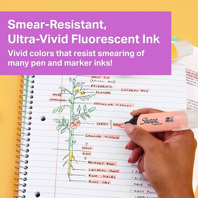 SHARPIE Highlighter, Clear View Highlighter with See-Through Chisel Tip, Tank Highlighter, Assorted, 12 Count