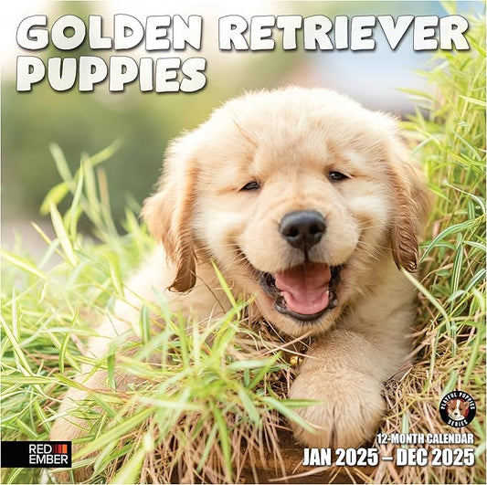 RED EMBER Golden Retriever Puppies 2025 Wall Calendar 12 Month | 12" x 24" Open | Thick & Sturdy Paper | Giftable | Calendar 2025