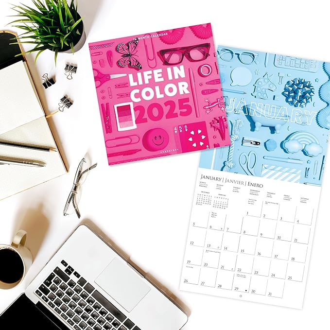 Graphique 2025 Life in Color Wall Calendar | 12” x 12” | Thick Paper | Home & Office Organizer | Large Monthly Grid | 3 Languages & Marked Holidays | 4 Month Preview Page for 2026