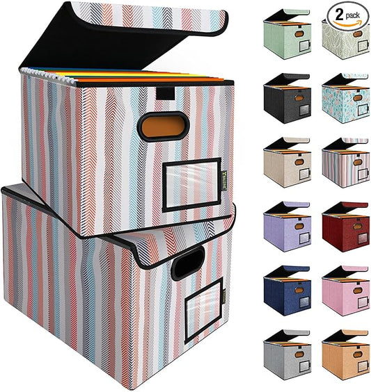 BALEINE File Organizer Box with Lid, Collapsible File Folder Organizer with Plastic Slide, Hanging File Folder Box for Office Document Storage (2 Pack, Color Stripe)