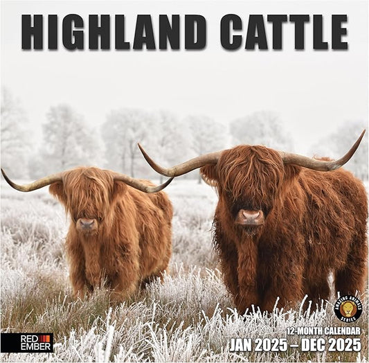 RED EMBER Highland Cattle 2025 Wall Calendar 12 Month | 12" x 24" Open | Thick & Sturdy Paper | Giftable | Calendar 2025