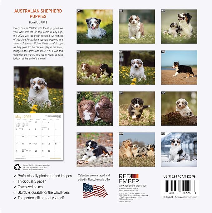 RED EMBER Australian Shepherd Puppies 2025 Wall Calendar 12 Month | 12" x 24" Open | Thick & Sturdy Paper | Giftable | Calendar 2025