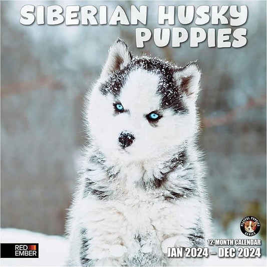 RED EMBER Siberian Husky Puppies 2024 Wall Calendar 12 Month | 12" x 24" Open | Thick & Sturdy Paper | Giftable | Calendar 2024