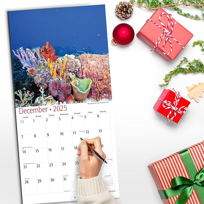 RED EMBER Coral Reefs 2025 Wall Calendar 12 Month | 12" x 24" Open | Thick & Sturdy Paper | Giftable | Calendar 2025