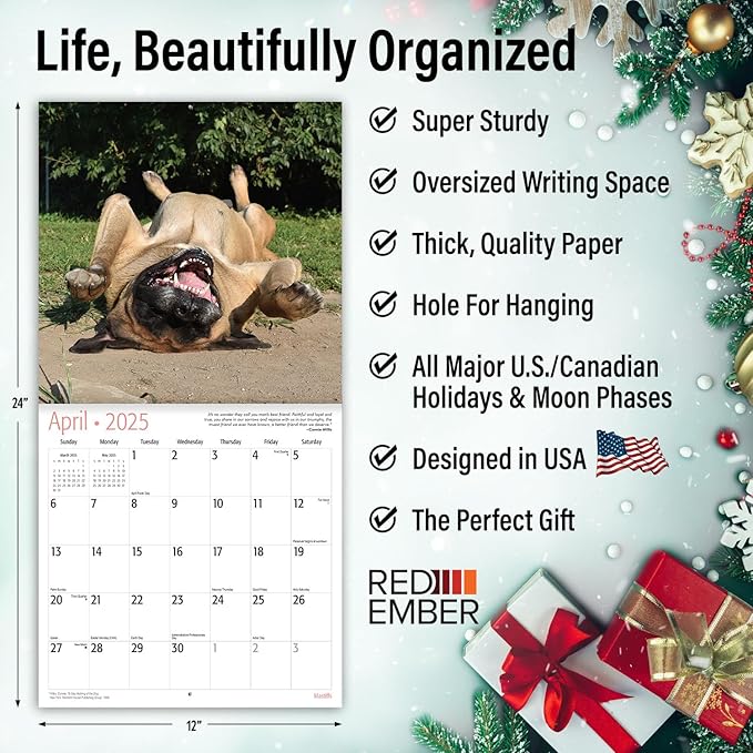 RED EMBER Mastiffs 2025 Wall Calendar 12 Month | 12" x 24" Open | Thick & Sturdy Paper | Giftable | Calendar 2025