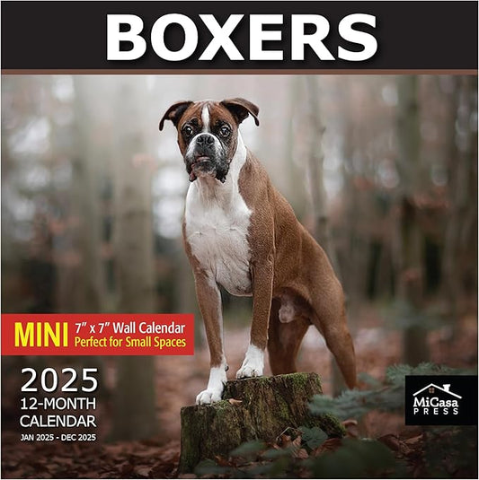 MICASA Boxers Mini 2025 Wall Calendar 12 Month | 7" x 14" Open | Thick & Sturdy Paper | Giftable | Calendar 2025