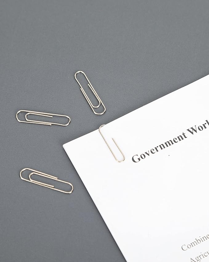 PAPERPAL #1 Nonskid Paper Clips, 600 Medium Paper Clips (6 Boxes of 100 Each), Paperclips for Office School & Personal Use, Daily DIY, 1-2/7" Silver Heavy Duty Non-Skid Paper Clip Standard Size