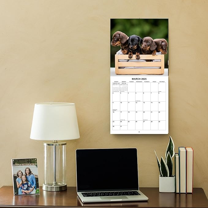 2025 Dachshund Weiner Dogs Monthly Wall Calendar | 12" x 24" | Thick Sturdy Paper | 2025 Wiener Dog Calendar