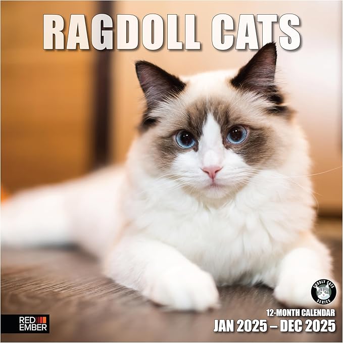 RED EMBER Ragdoll Cats 2025 Wall Calendar 12 Month | 12" x 24" Open | Thick & Sturdy Paper | Giftable | Calendar 2025