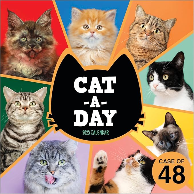 TF PUBLISHING 2025 Cat-A-Day Wall Calendar Case of 48 - Large Grids for Appointments and Scheduling - Vertical Monthly Wall Calendar 2025 - Home and Office Organization - Premium Gloss Paper - 12"x12”