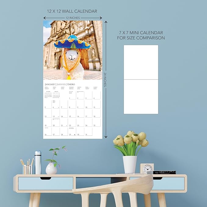 Graphique 2025 Llama with No Drama Wall Calendar | 12” x 12” | Thick Paper | Home & Office Organizer | Large Monthly Grid | 3 Languages & Marked Holidays | 4 Month Preview Page for 2026