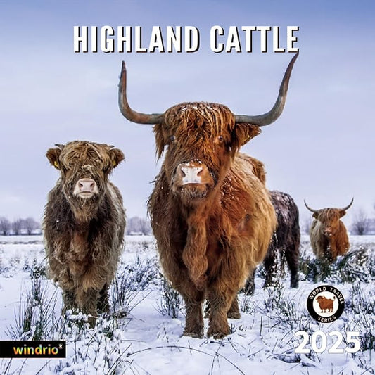 2025 Wall Calendar,Calendar 2025, November 2024 - December 2025, Wall Calendar Highland Cattle, 12" x 24" Opened,Full Page Months Thick & Sturdy Paper for Calendar Organizing & Planning