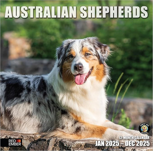 RED EMBER Australian Shepherds 2025 Wall Calendar 12 Month | 12" x 24" Open | Thick & Sturdy Paper | Giftable | Calendar 2025