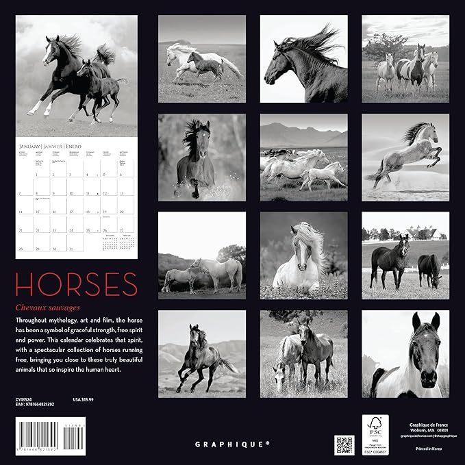 Graphique 2024 Horses Wall Calendar | 12” x 12” | Thick Paper | Home & Office Organizer | Large Monthly Grid | 3 Languages & Marked Holidays | 4 Month Preview Page for 2025