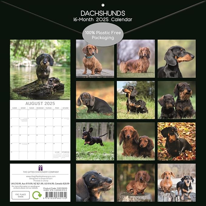 The Gifted Stationary 2025 Square Wall Calendar, Dachshund, 16-Month Paw Prints Theme Hanging Calendar with 180 Reminder Stickers, Month Planner for Home, or Creative Spaces, 12x12 In