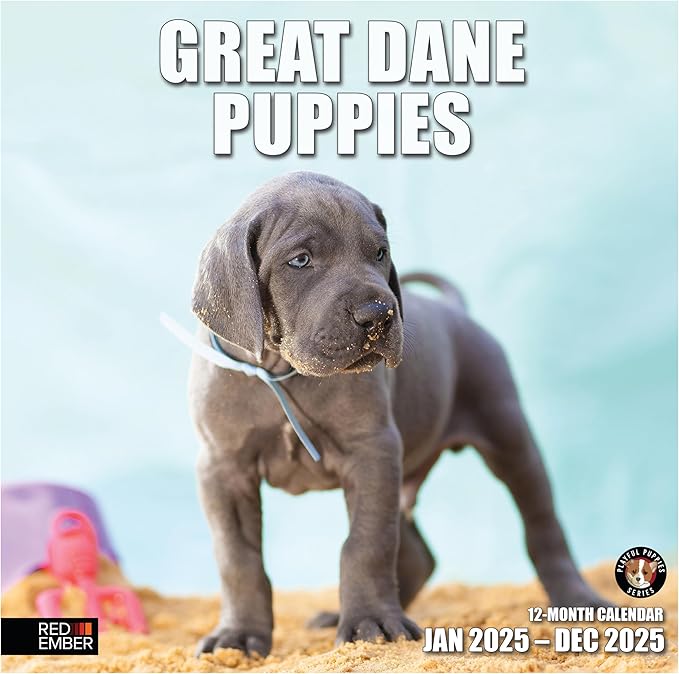 RED EMBER Great Dane Puppies 2025 Wall Calendar 12 Month | 12" x 24" Open | Thick & Sturdy Paper | Giftable | Calendar 2025