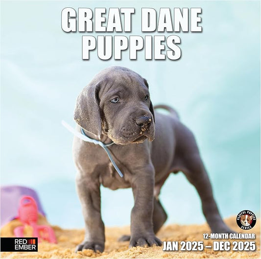RED EMBER Great Dane Puppies 2025 Wall Calendar 12 Month | 12" x 24" Open | Thick & Sturdy Paper | Giftable | Calendar 2025
