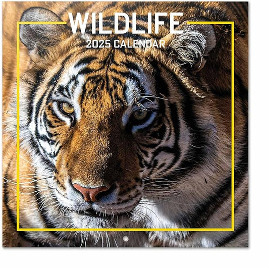 Wildlife Wall Calendar 2025 12" x 12" FSC® Plastic Free - Starts Week On Sunday | Square Wall Calendar | Family Planner Calendar 2025 | Animal Calendar 2025