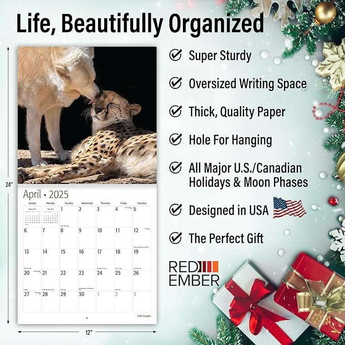 RED EMBER Odd Couples 2025 Wall Calendar 12 Month | 12" x 24" Open | Thick & Sturdy Paper | Giftable | Calendar 2025