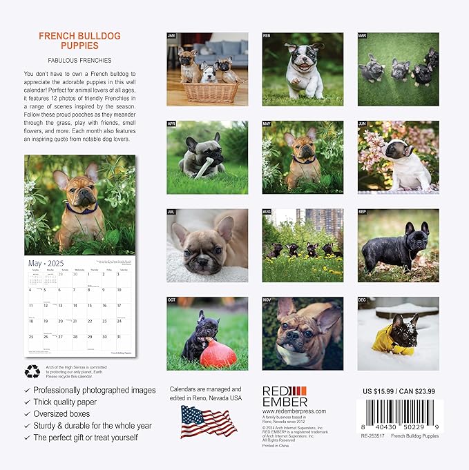 RED EMBER French Bulldog Puppies 2025 Wall Calendar 12 Month | 12" x 24" Open | Thick & Sturdy Paper | Giftable | Calendar 2025