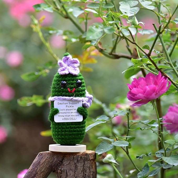 Funny Crochet Pickles 1 Pcs with Affirmations Cards for Inspirational Novelty Good Luck Gifts and Party Decorations(KK-CKD04-ppfw)