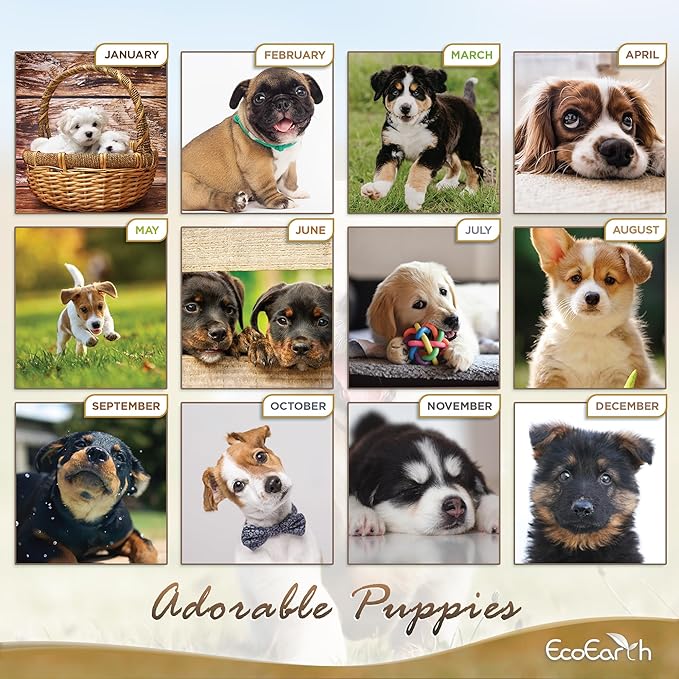 EcoEarth - Biodegradable 11x17 Inch (Open) 12-Month Vertical Hanging Wall Calendar - 2025 Monthly Calendar - Adorable Puppies
