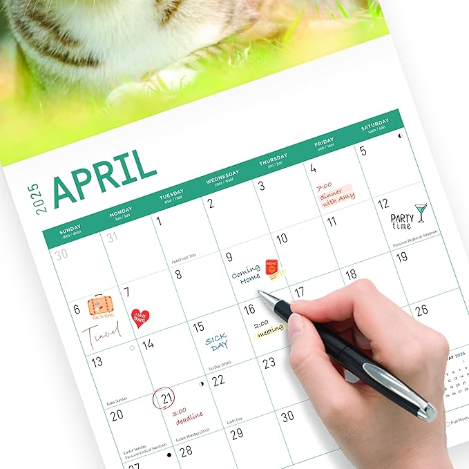 2025 Cats Monthly Wall Calendar by Bright Day, Includes Over 300 Stickers, 12 x 12 Inch