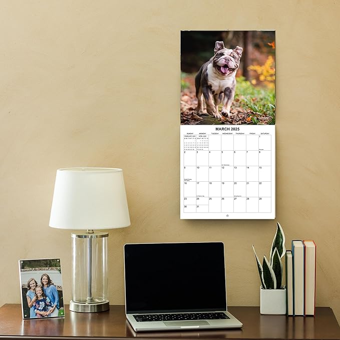 2025 English Bulldogs Monthly Wall Calendar | 12" x 24" | Thick Sturdy Paper | Dog Calendar 2024-2025