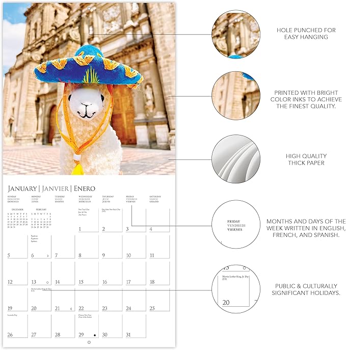 Graphique 2025 Llama with No Drama Wall Calendar | 12” x 12” | Thick Paper | Home & Office Organizer | Large Monthly Grid | 3 Languages & Marked Holidays | 4 Month Preview Page for 2026
