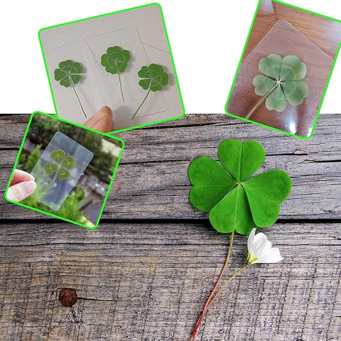 Genuine Real Four Leaf Clover Card Bookmark, Five Leaf Clover Card, Good Luck Gift Card, Invitation Card in Envelope, Good Luck Charm Deco (5 Leaf Clover)