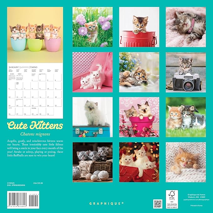 Graphique 2025 Cute Kittens Wall Calendar | 12” x 12” | Thick Paper | Home & Office Organizer | Large Monthly Grid | 3 Languages & Marked Holidays | 4 Month Preview Page for 2026